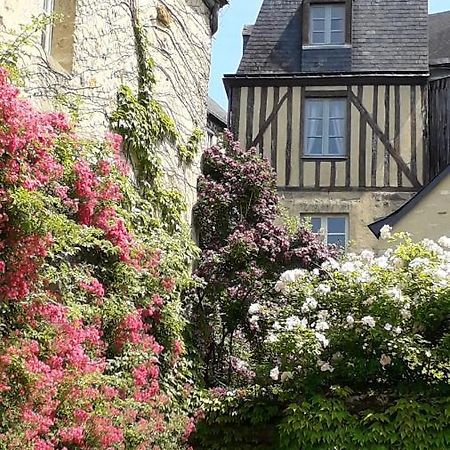 Petite Maison Romantique Au Calme, Coeur Historique Plantagenet, Vue Ville Ле-Ман Экстерьер фото