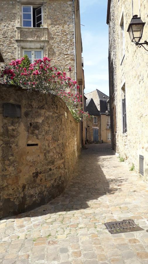 Petite Maison Romantique Au Calme, Coeur Historique Plantagenet, Vue Ville Ле-Ман Экстерьер фото